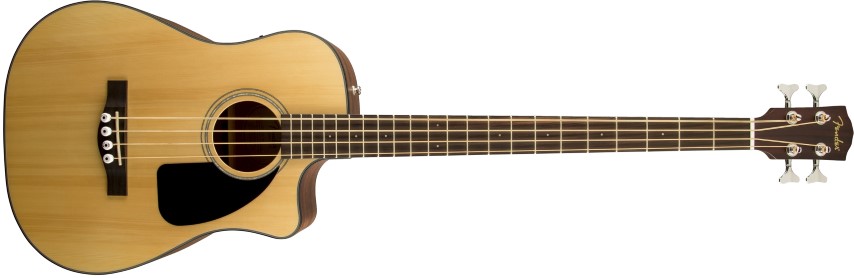 Acoustic bass guitars