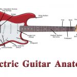 electric guitar anatomy
