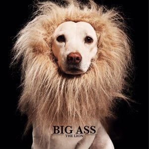 คอร์ดเพลง ไม่เดียงสา Big Ass