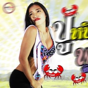 คอร์ดเพลง ควายตำอีปิ พร จันทพร