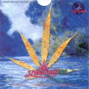 คอร์ดเพลง นกบินลัดฟ้า มาลีฮวนน่า