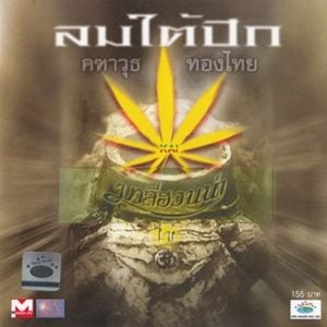 คอร์ดเพลง ว่าวจุฬา มาลีฮวนน่า