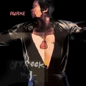 คอร์ดเพลง คือฉันรักเธอ แมว จิรศักดิ์