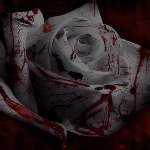 คอร์ดเพลง กราบตีนก็ยอม รื่นฤดี