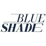 คอร์ดเพลง พอที Blue Shade