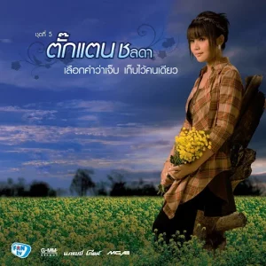 คอร์ดเพลง เลือกคำว่าเจ็บ เก็บไว้คนเดียว ตั๊กแตน ชลดา