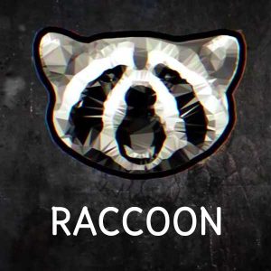 คอร์ดเพลง จองจำ RACCOON