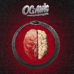 คอร์ดเพลง เสียงดัง OG-ANIC