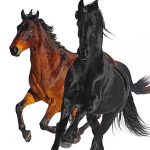 คอร์ดเพลง Old Town Road (Remix) Lil Nas X ft. Billy Ray Cyrus