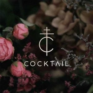 คอร์ดเพลง เรา COCKTAIL 