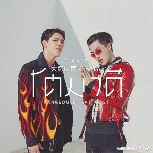  โตมาดี KS”