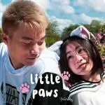 คอร์ดเพลง อุ้งเท้าเล็กๆ (Little Paws) SPIDERMEI x WALIT