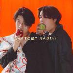 คอร์ดเพลง กาลครั้งหนึ่งนานมาแล้ว ANATOMY RABBIT