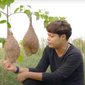  นกทิ้งรัง เอ้ เจบี