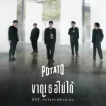 ขาดเธอไม่ได้ potato