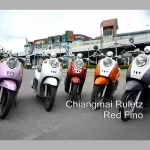 คอร์ดเพลง ฟีโน่แดง Chiangmai Ruletz