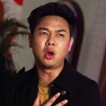 วี Chicken V