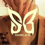 คอร์ดเพลง เธอทำถูกแล้ว Samblack