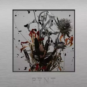 คอร์ดเพลง โรคส่วนตัว The Yers