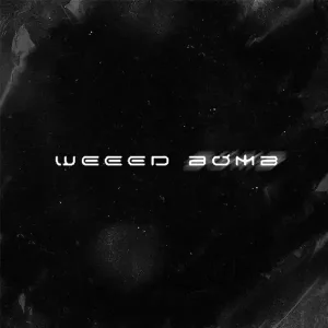 คอร์ดเพลง การ์ตูนตาหวาน WEEED BOMB