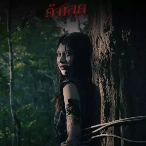 คอร์ดเพลง คำเอย อ้ายเปเล่ คอร์ดเพลง คำเอย อ้ายเปเล่