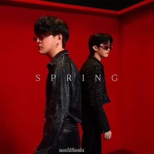 คอร์ดเพลง ดอกไม้ที่รอฝน (spring) The TOYS