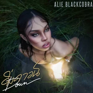 คอร์ดเพลง ดิ่งดาวน์ (DOWN) ALIE BLACKCOBRA