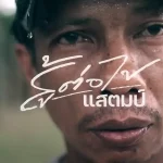 แสตมป์