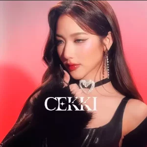 คอร์ดเพลง ชอบจังเลยคนใจร้าย (f***boi) CEKKI