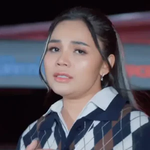 คอร์ดเพลง แฟนโง่ๆ ตั๊กแตน ชลดา