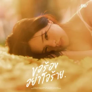 คอร์ดเพลง ขอร้องอย่าใจร้าย (0%) ALLY