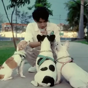 คอร์ดเพลง สุดท้ายก็มีแต่หมา OWEN