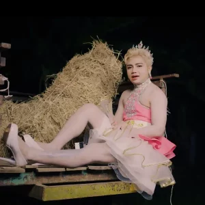 คอร์ดเพลง เอาหยังไปสม ไพบูลย์ แสงเดือน