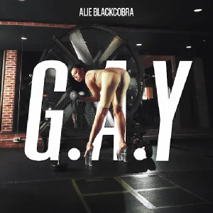 คอร์ดเพลง G.A.Y ALIE BLACKCOBRA