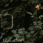 คอร์ดเพลง กุหลาบขาว (White Rose) Shineboys