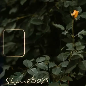  กุหลาบขาว (White Rose) Shineboys