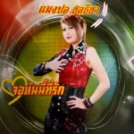 แมงปอ ชลธิชา