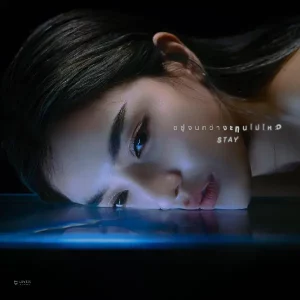 คอร์ดเพลง อยู่จนกว่าจะทนไม่ไหว LADIIPRANG