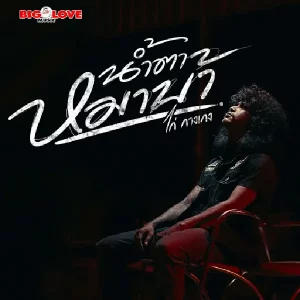 คอร์ดเพลง น้ำตาหมาบ้า ไก่ กางเกง