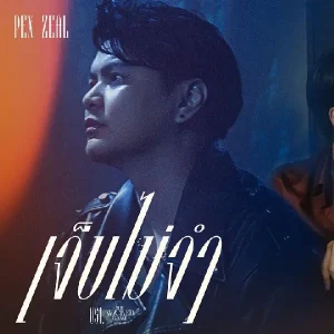 คอร์ดเพลง เจ็บไม่จำ (LOOP) Pex Zeal