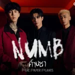 คอร์ดเพลง ด้านชา (Numb) Perth Tanapon