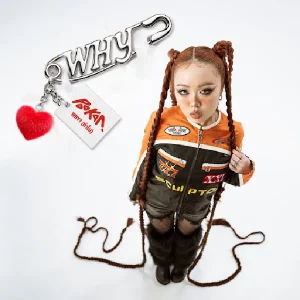 คอร์ดเพลง WHY ? (ทำไม) POOKAN