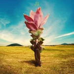 คอร์ดเพลง ดอกกระเจียวบาน ก้อง ห้วยไร่