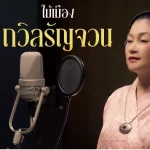 ไม้เมือง