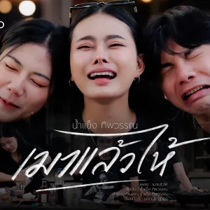 คอร์ดเพลง เมาแล้วไห้ น้ำแข็ง ทิพวรรณ