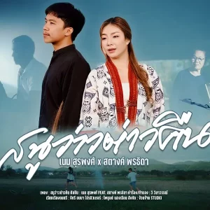 คอร์ดเพลง สนูว่าวต่าวคืน เนม สุรพงศ์