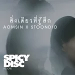 คอร์ดเพลง สิ่งเดียวที่รู้สึก (Embed) AOMSIN