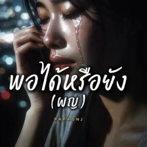 คอร์ดเพลง พอได้หรือยัง (ผญ) PAPAONJ