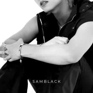 คอร์ดเพลง เสียใจหน่อยก็ดี Samblack