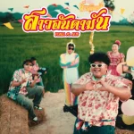 คอร์ดเพลง สาวอันดามัน YONIA